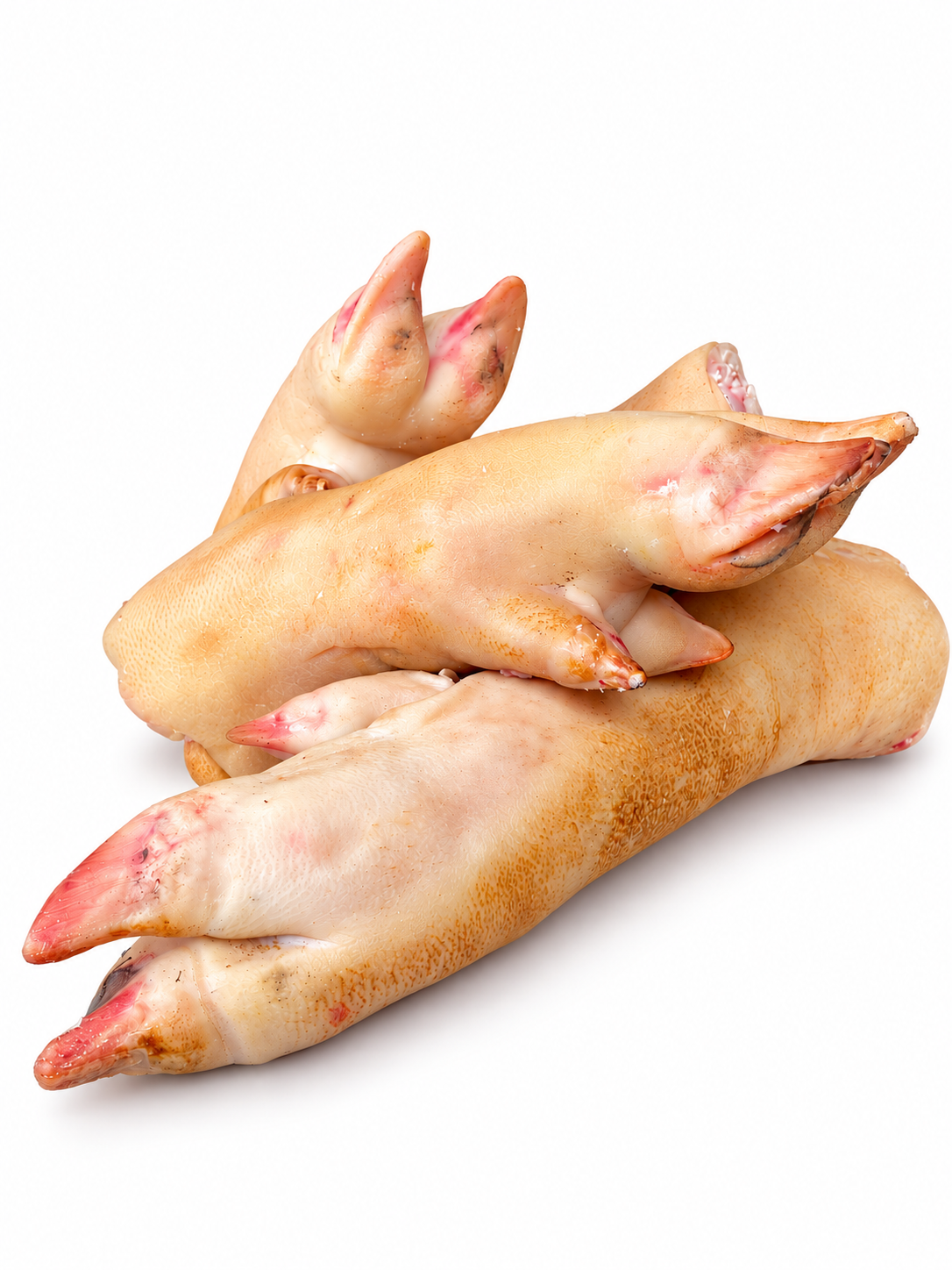 Sertés köröm